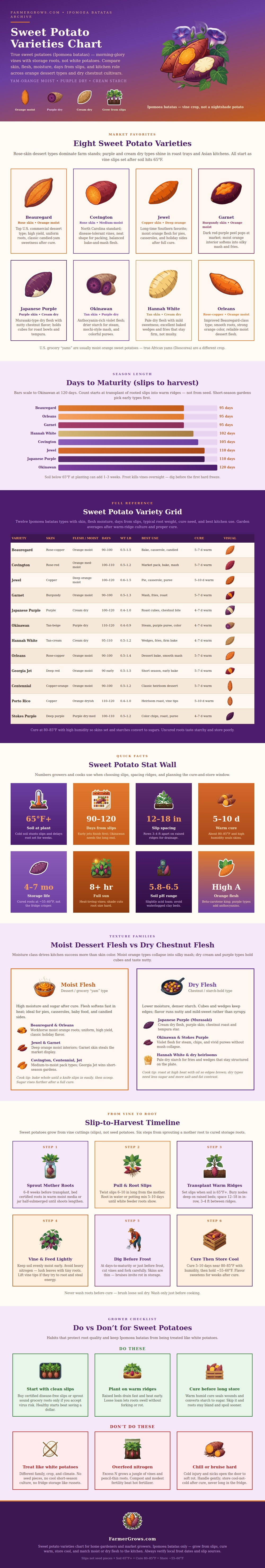 Sweet Potato Varieties Chart