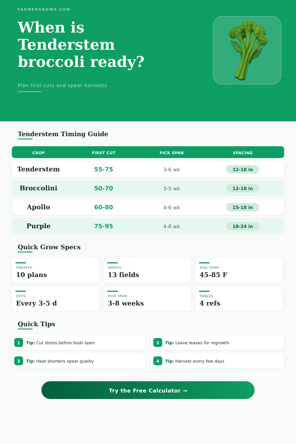 Tenderstem Broccoli Growth Time Calculator