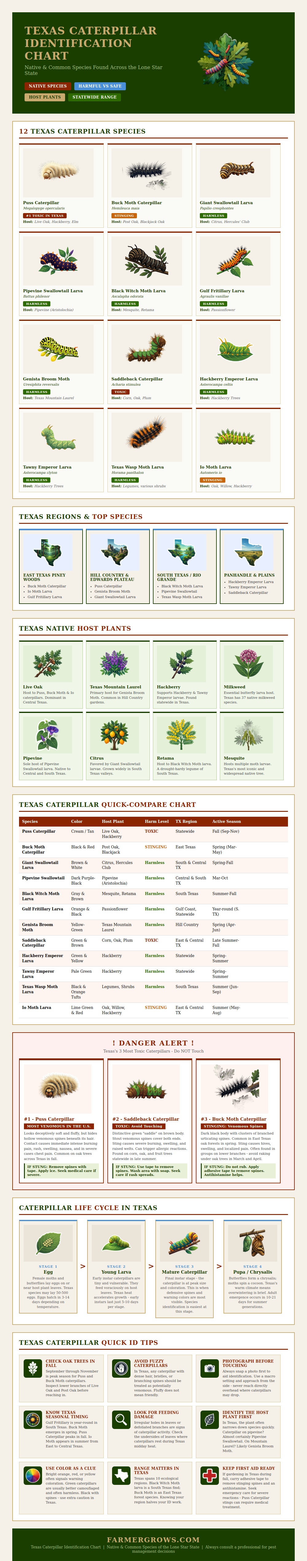 Texas Caterpillar Identification Chart