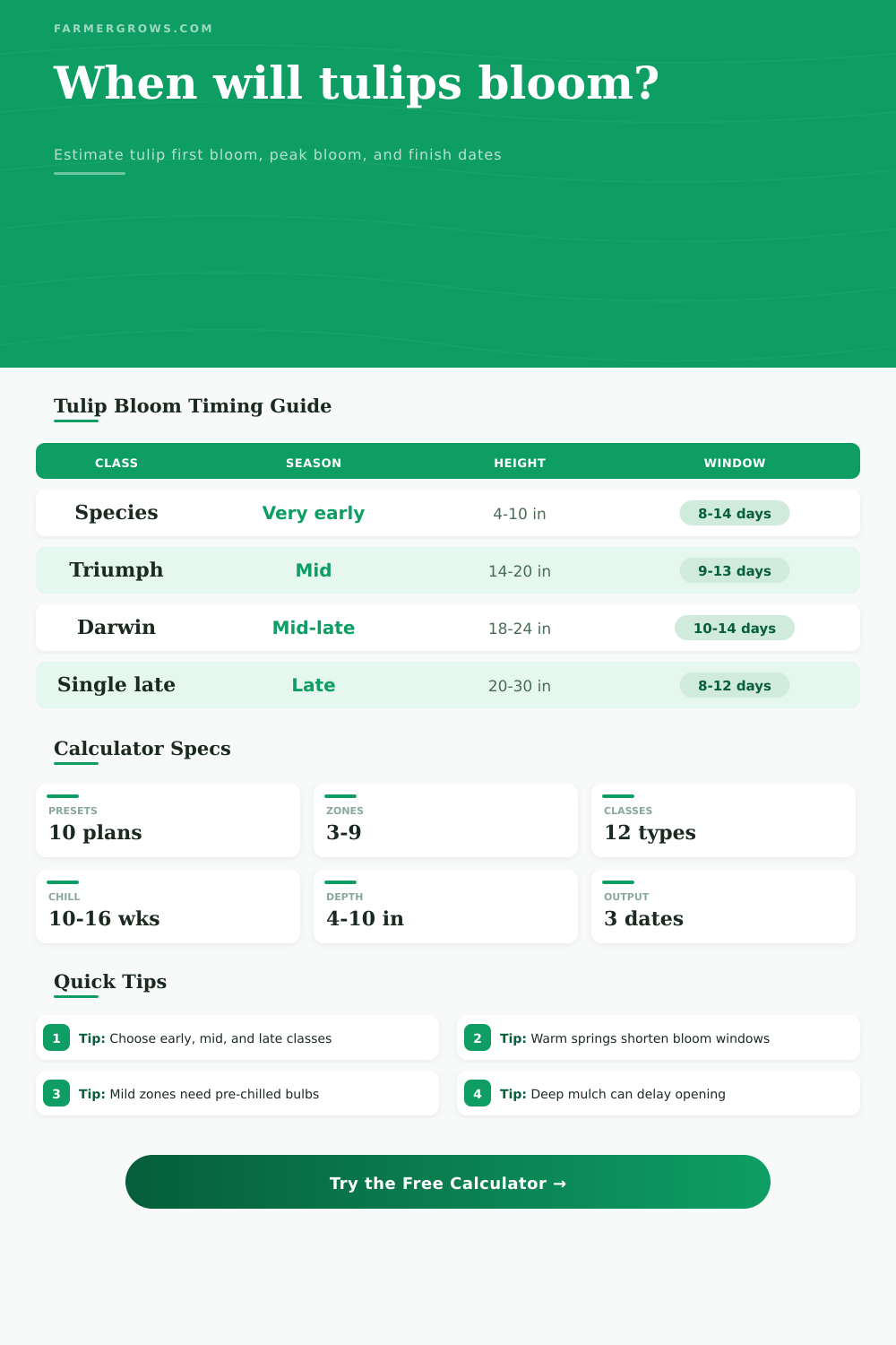 Tulip Bloom Time Calculator