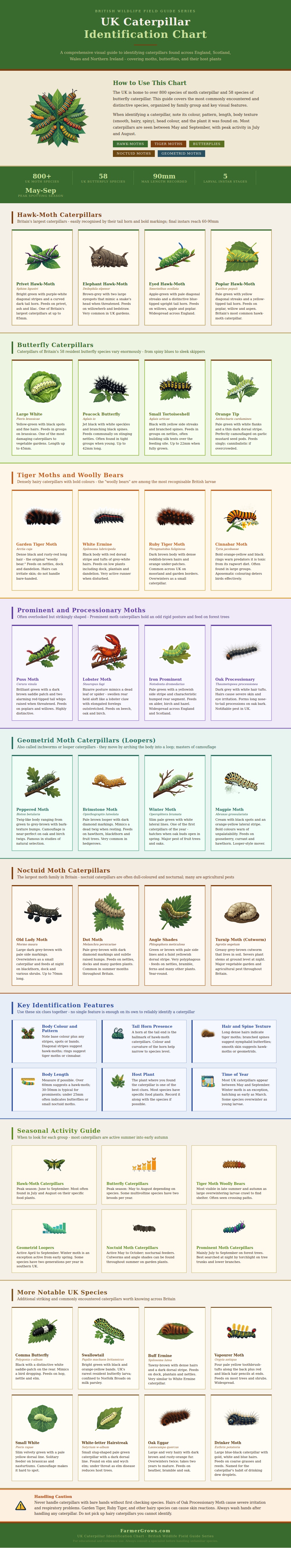 Uk Caterpillar Identification Chart
