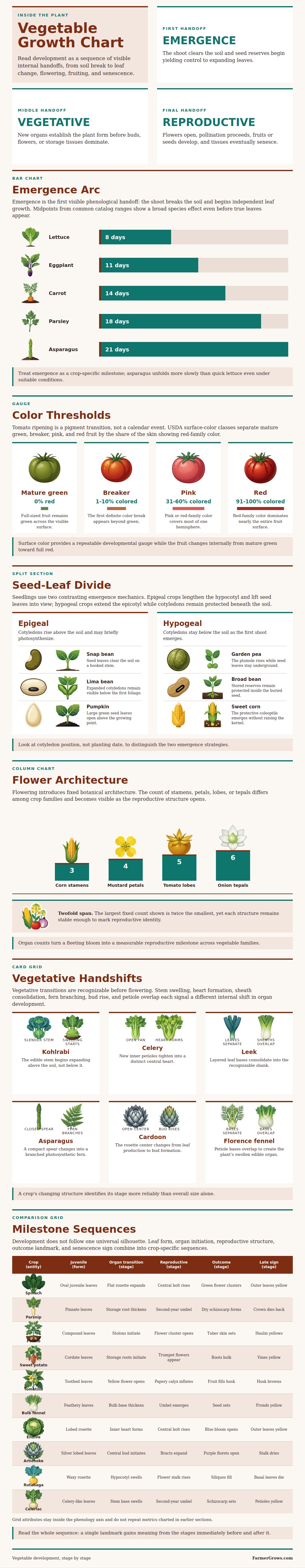 Vegetable Growth Chart