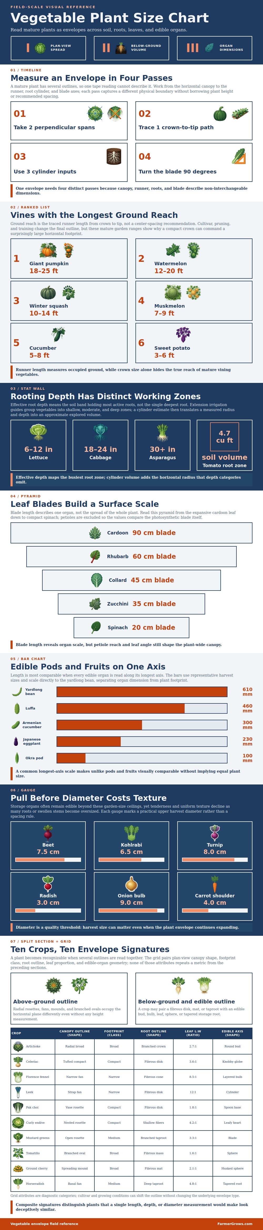Vegetable Plant Size Chart