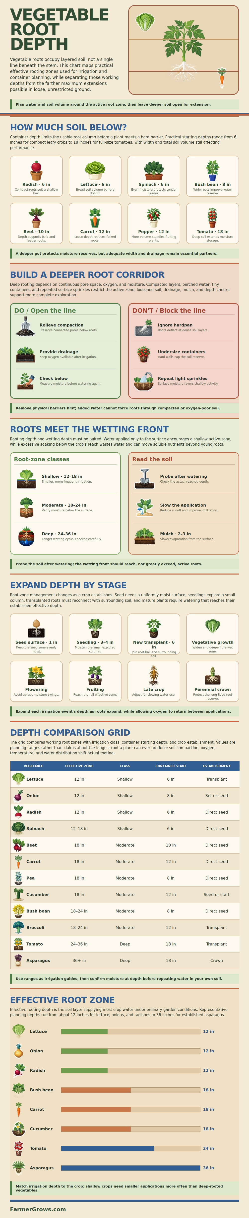 Vegetable Root Depth Chart
