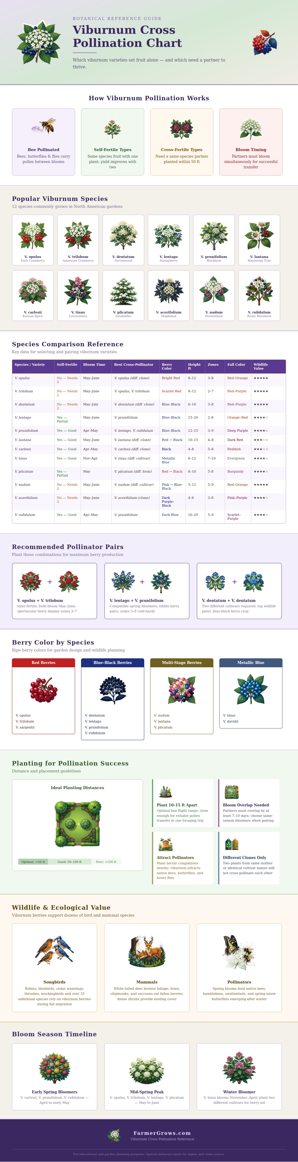Viburnum Cross Pollination Chart