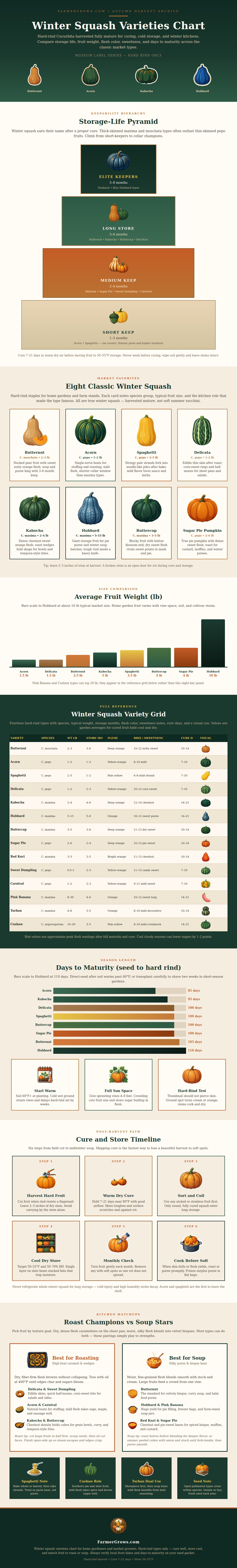 Winter Squash Varieties Chart