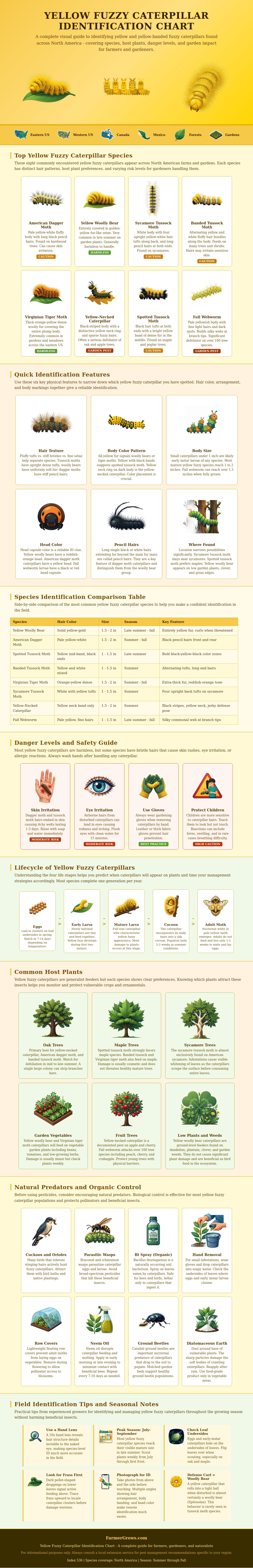 Yellow Fuzzy Caterpillar Identification Chart