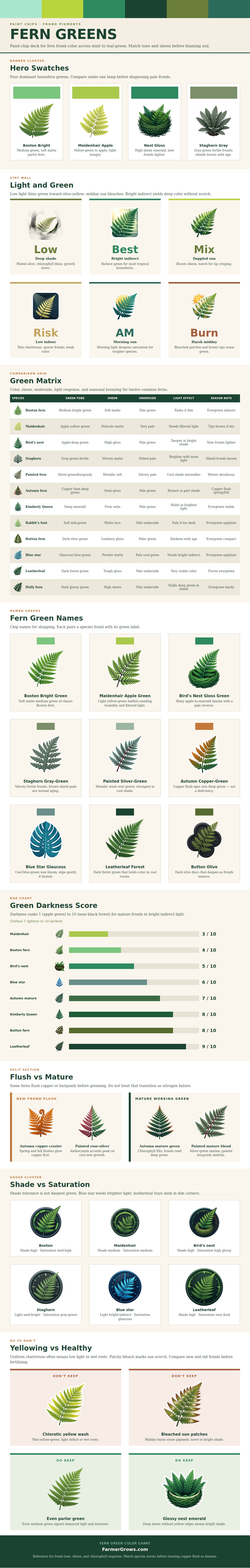 Fern Green Color Chart